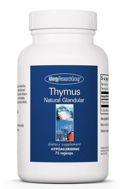 Thymus 1